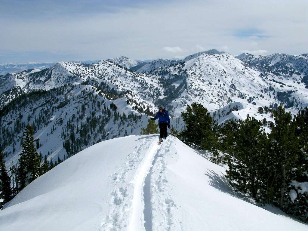 Skinning on Flagstaff Ridge