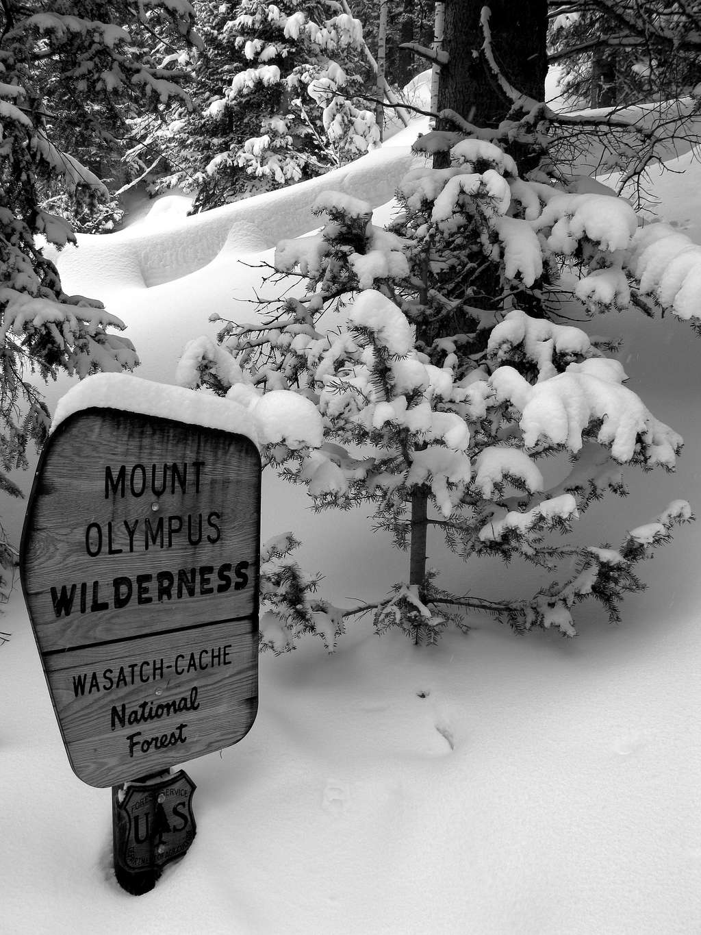 Mt. Olympus Wilderness Sign