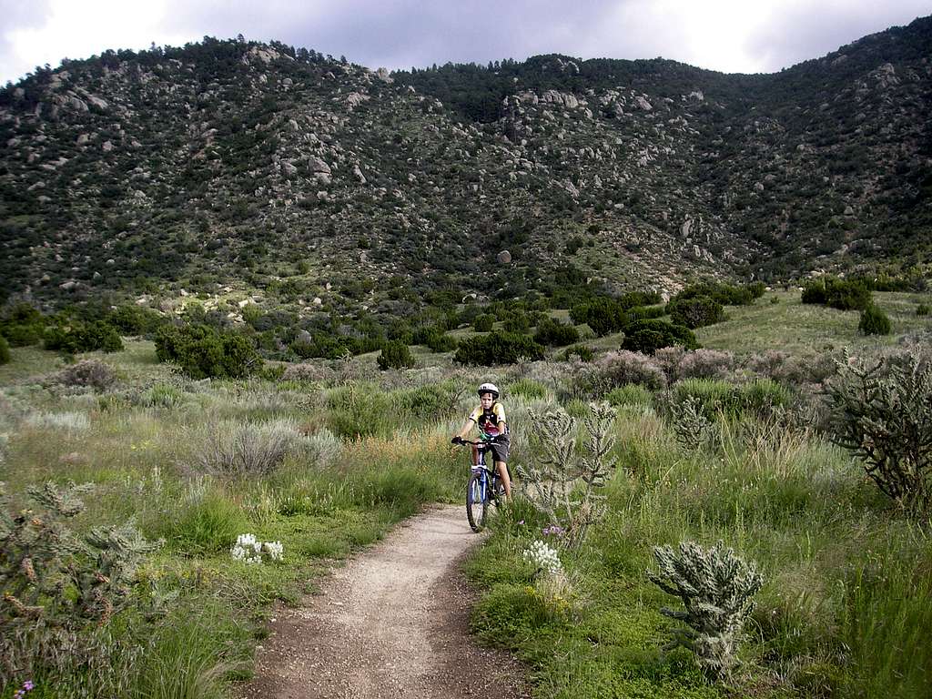 mountain biking