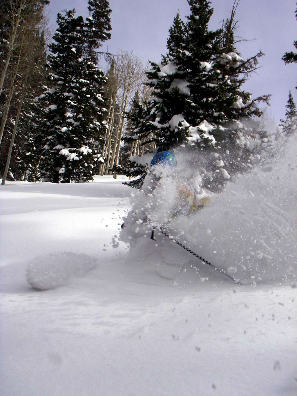 Skiing Beartrap Fork