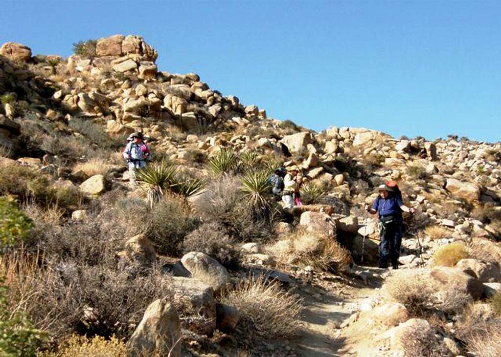 Switchbacks on the Boy Scout Trail