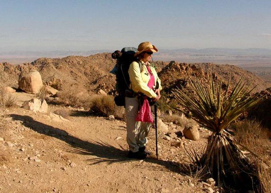 Viewpoint along Boy Scout Trail