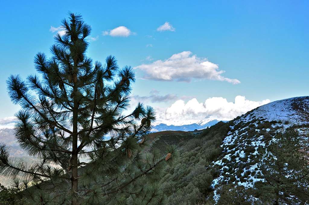 View from Camino Cielo Ridge