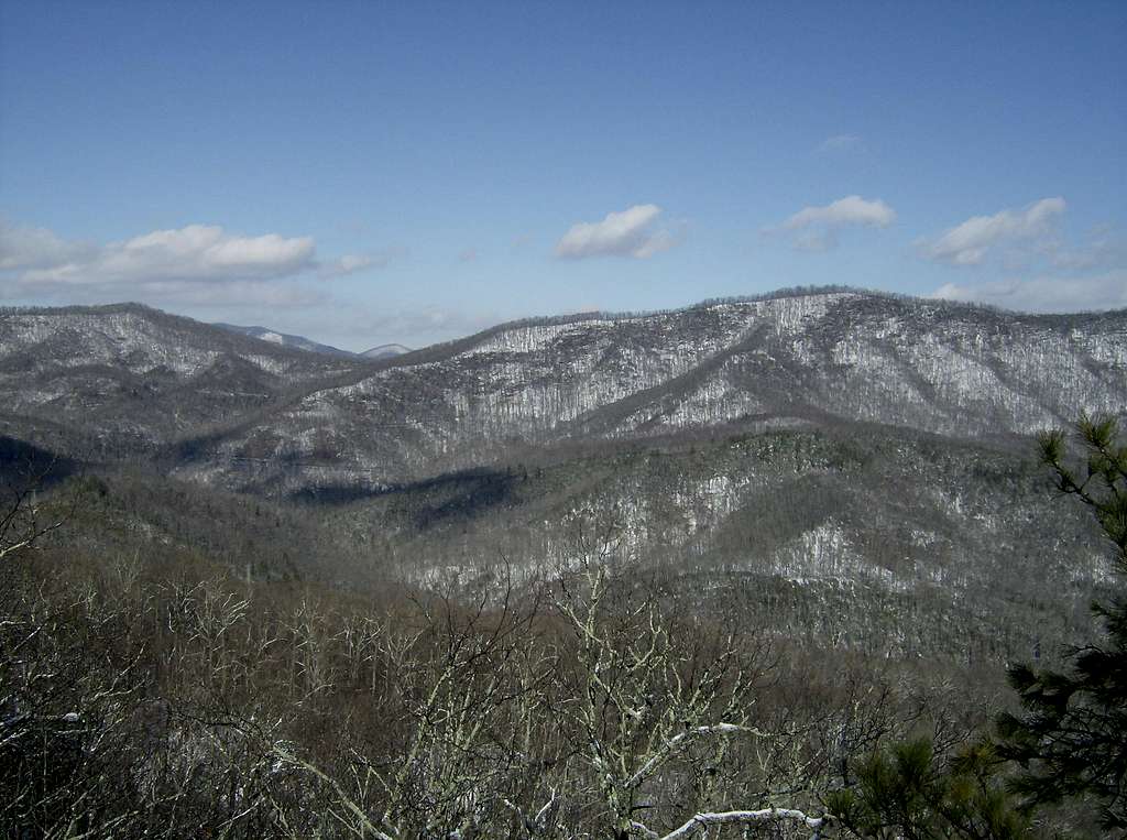 Coontree Mountain View