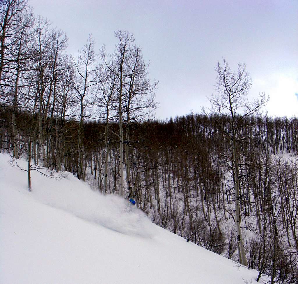 Troy skiing The Meadow Chutes