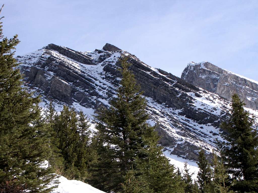 mount Lawrence Grassi