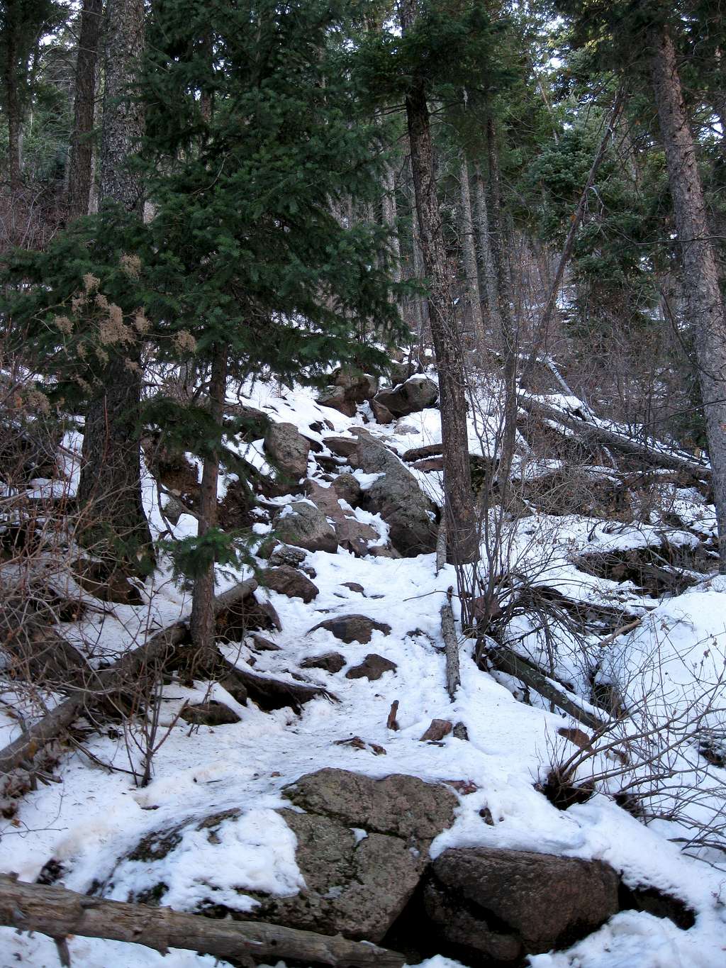Eagles Peak trail