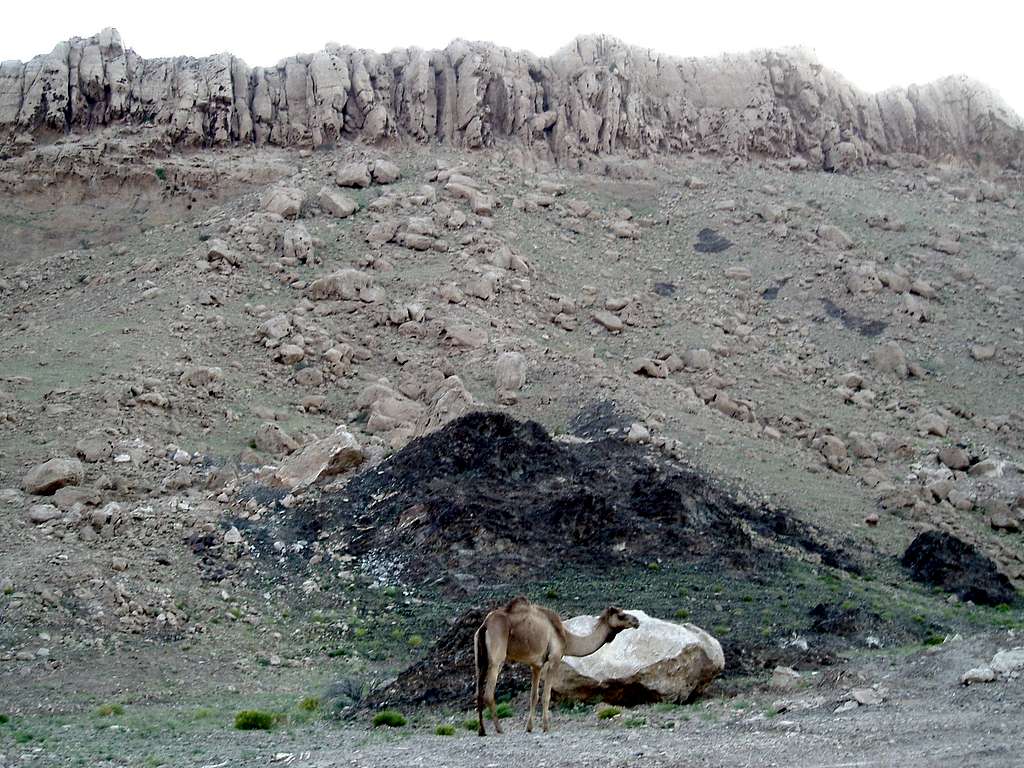 Camel/Crag