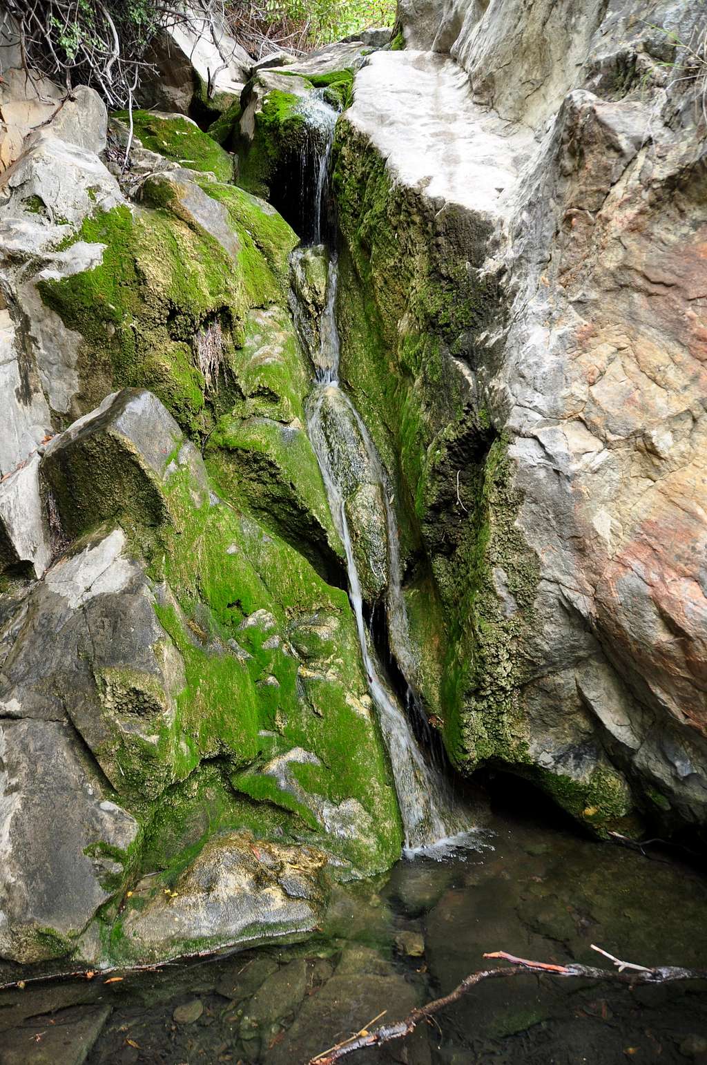 Mini Waterfall along the trail