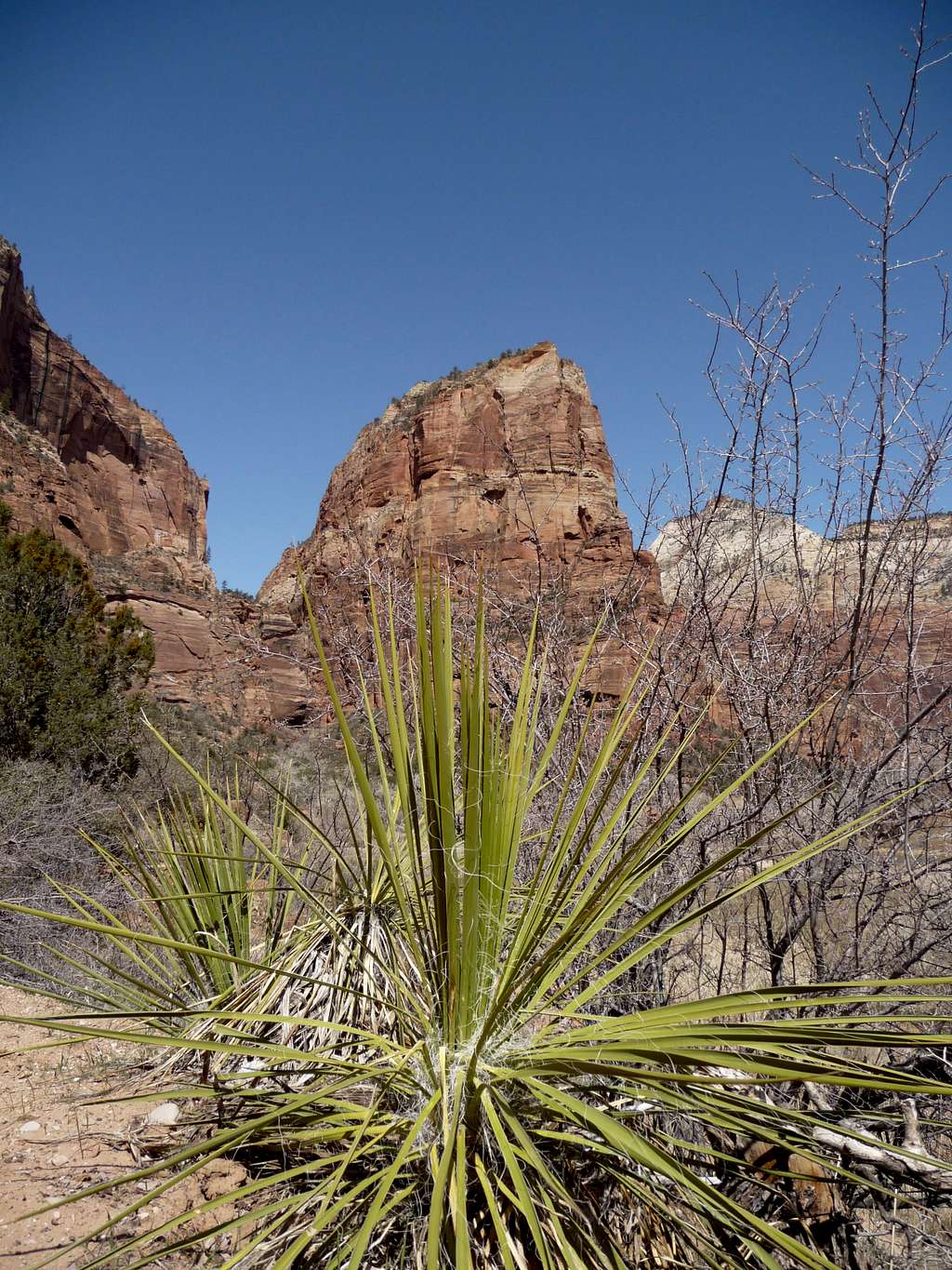 Angel's Landing