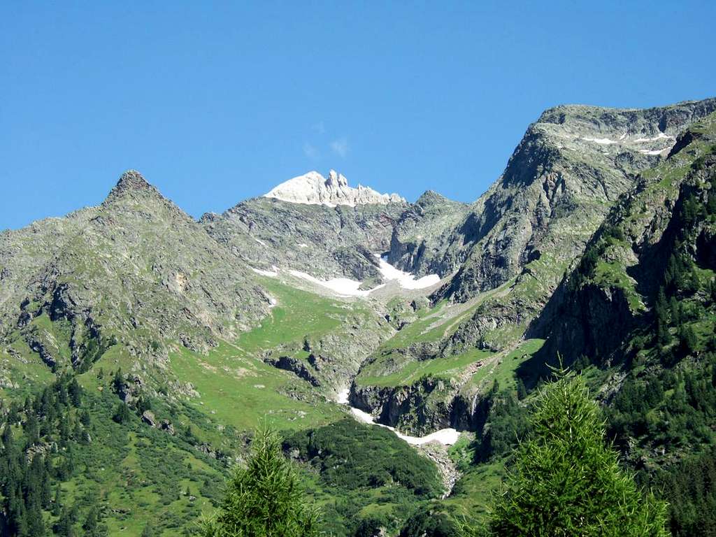 Parete Bianca (Weißwandspitze) (3016m)