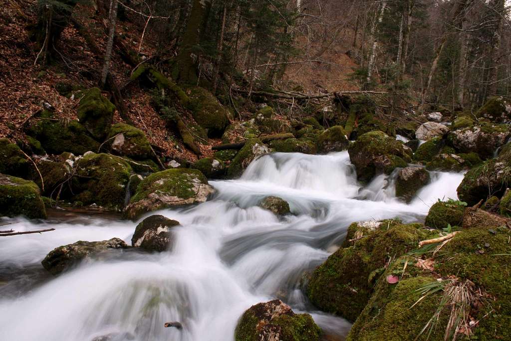 Suški potok, National Park Sutjeska