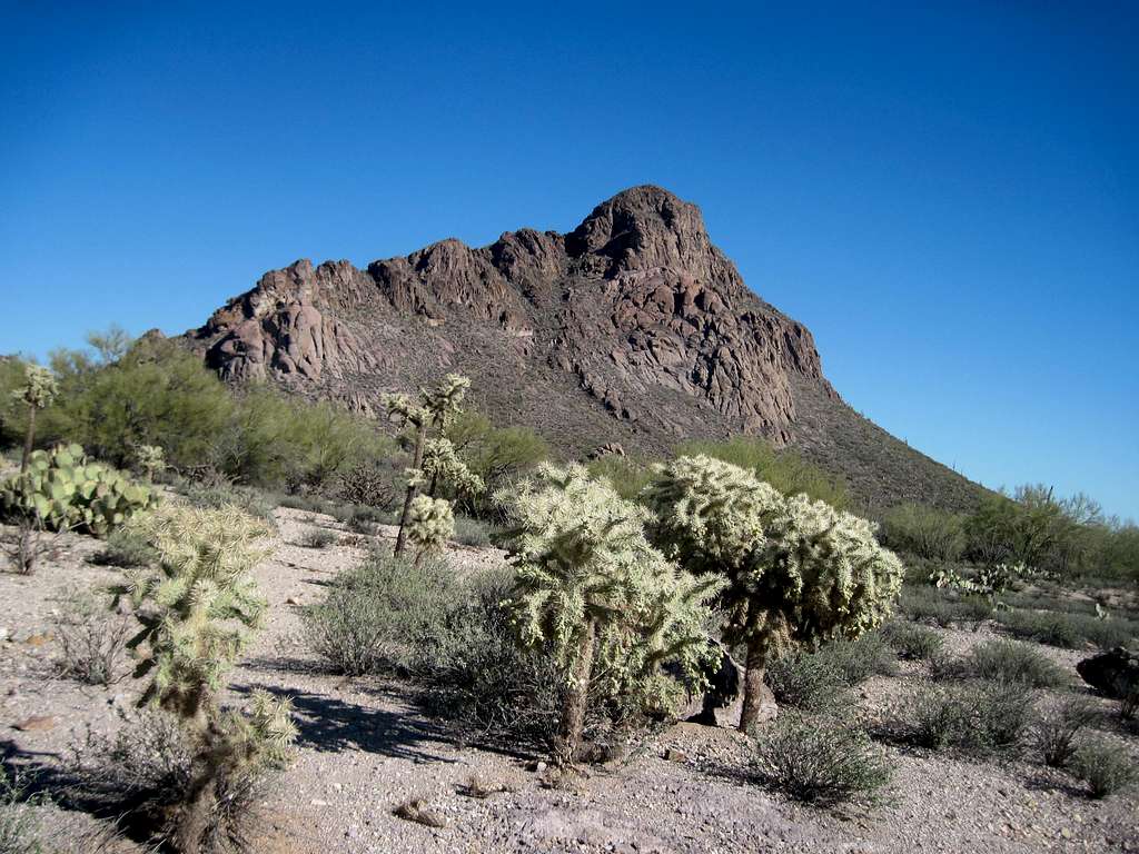 Cat Mountain above the Sonoran