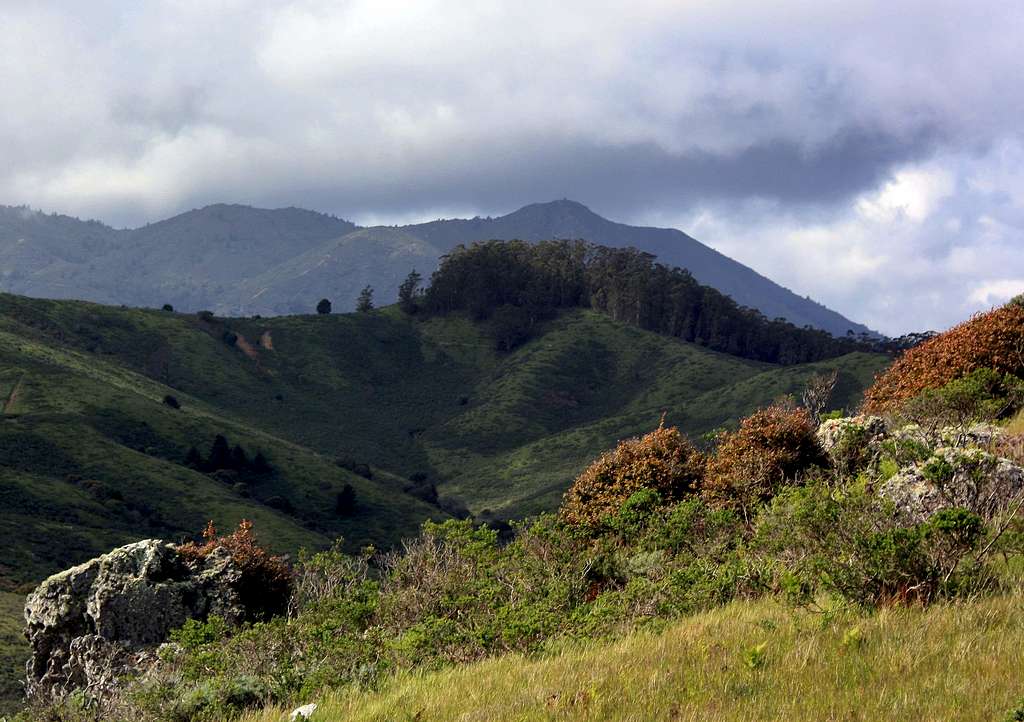 Mt. Tamalpais from Vortac Hill