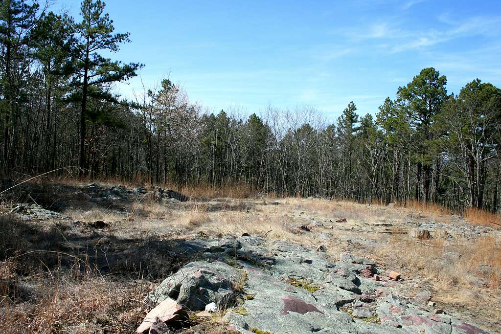 Stegall Mountain Glade