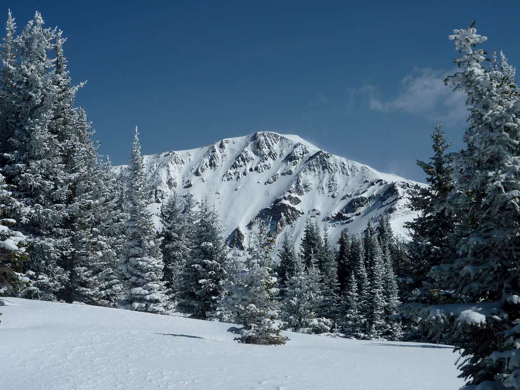 Specimen Mountain framed by trees