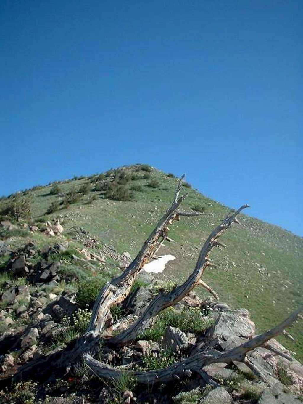 Pic of the summit from the...