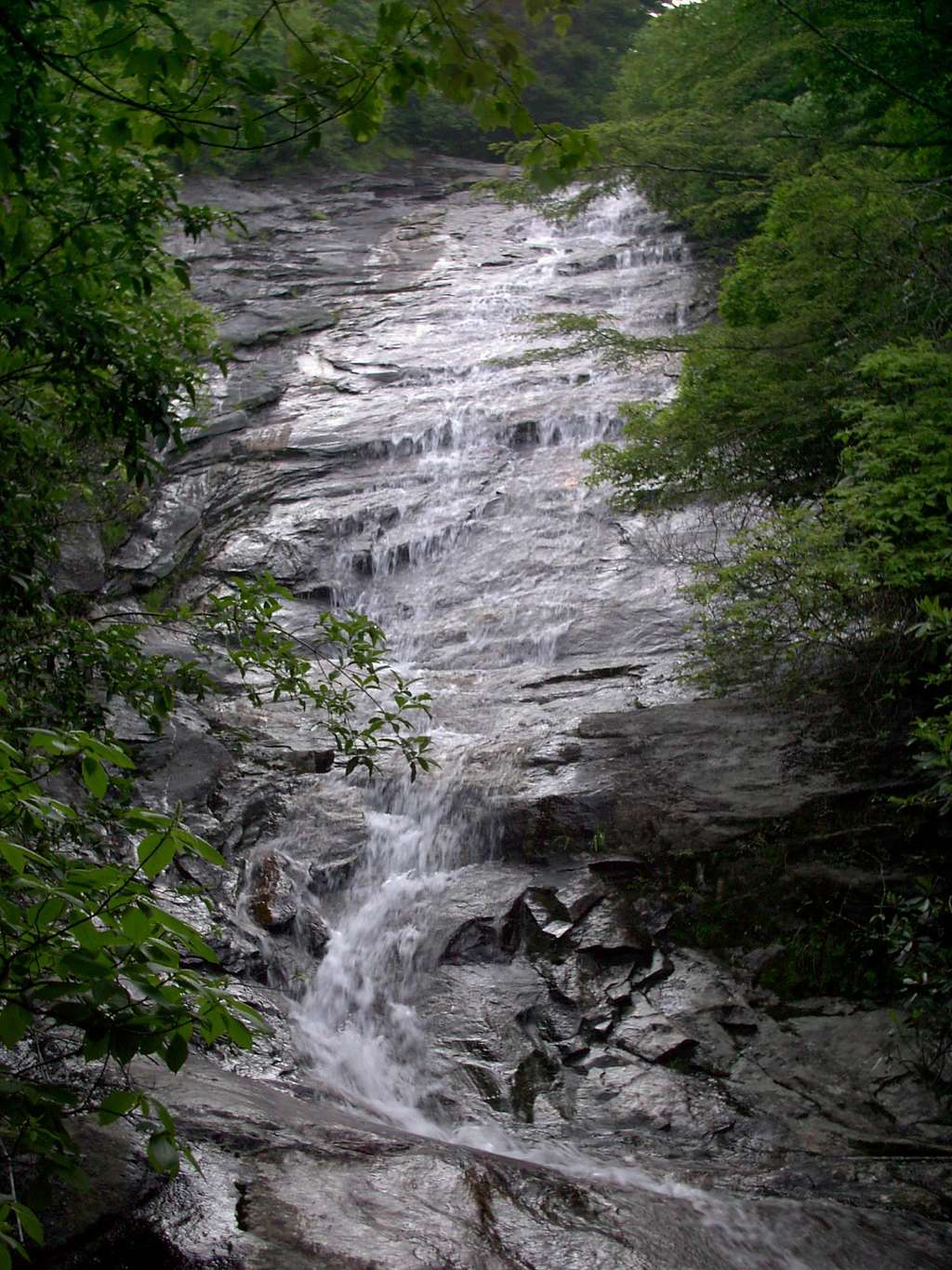 Bubbling Spring Branch Falls