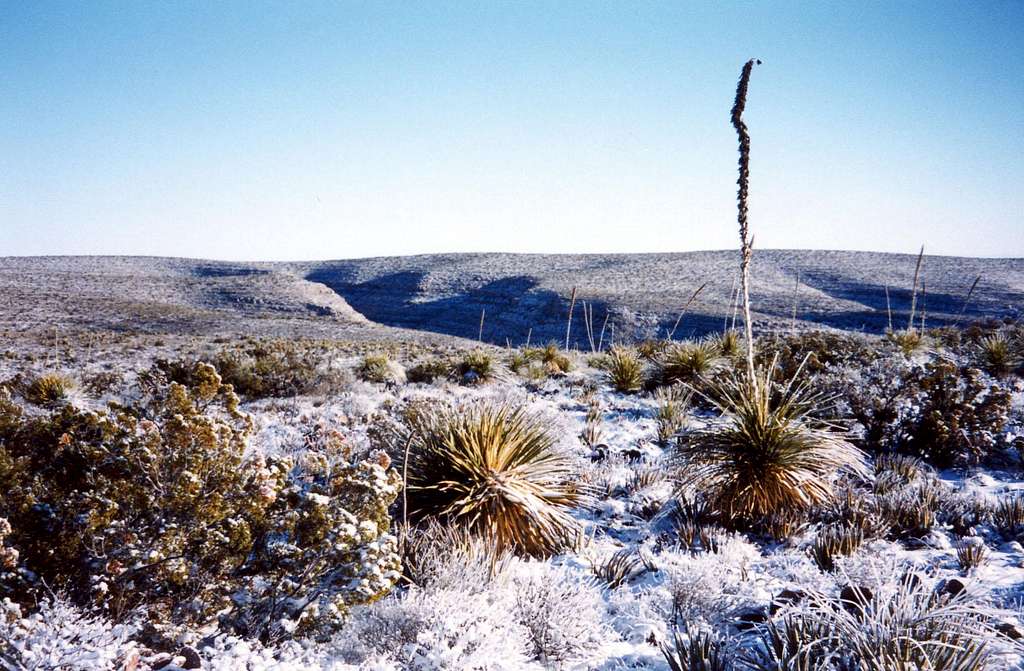 Desert Snow