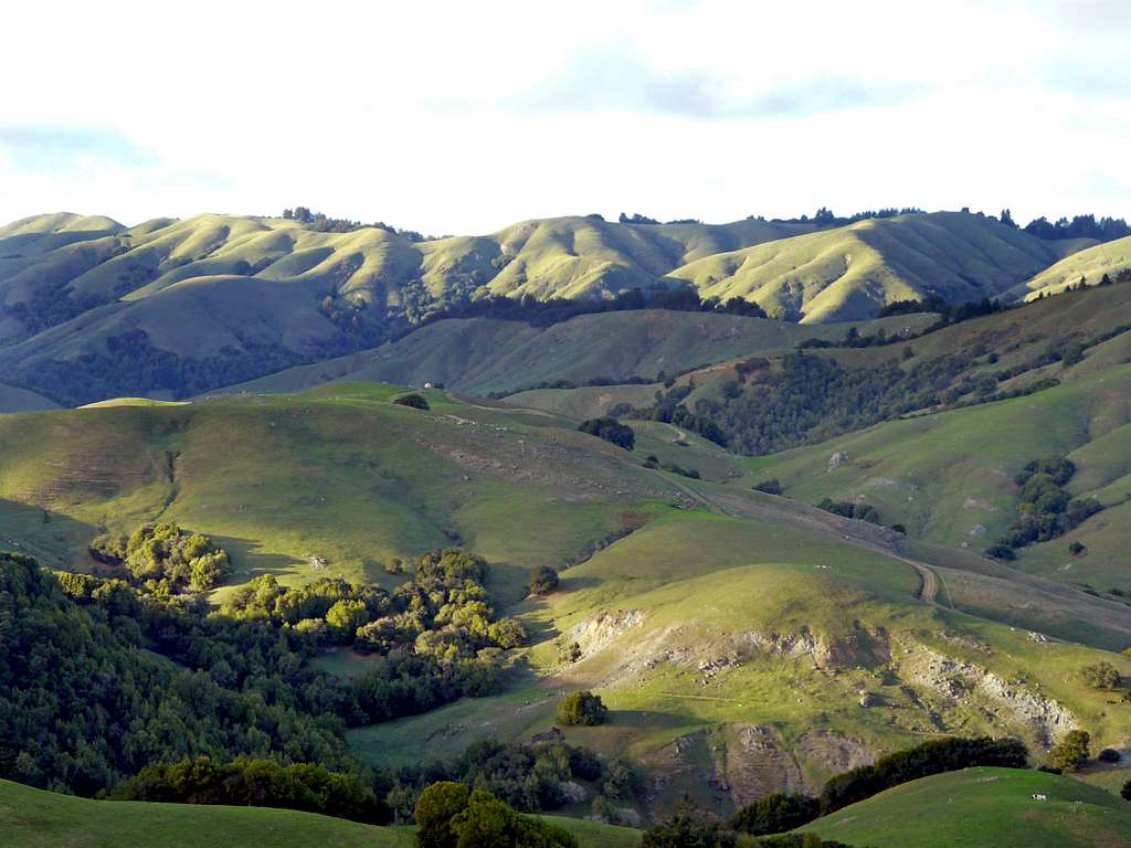 Nicasio hills from Loma Alta