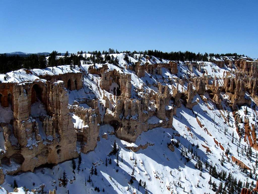 From near Bryce Point