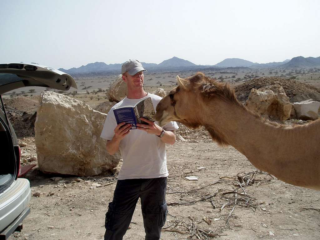 reading camel
