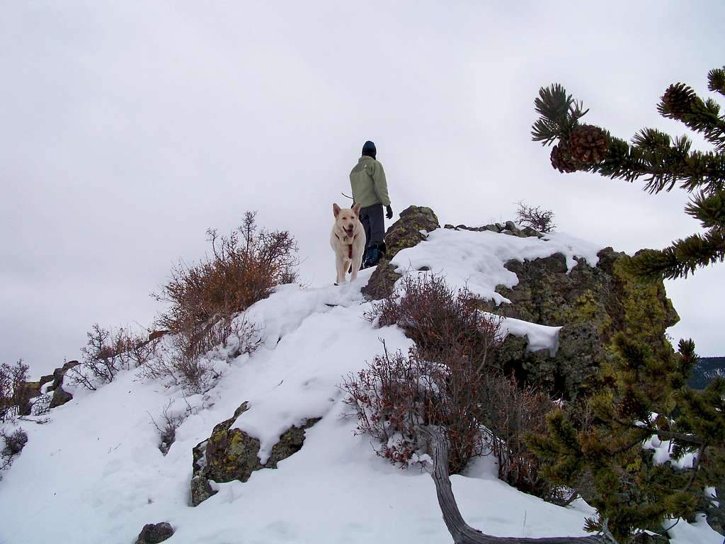 Lela on the rocky summit