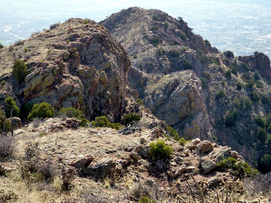 Looking southeast along the ridge