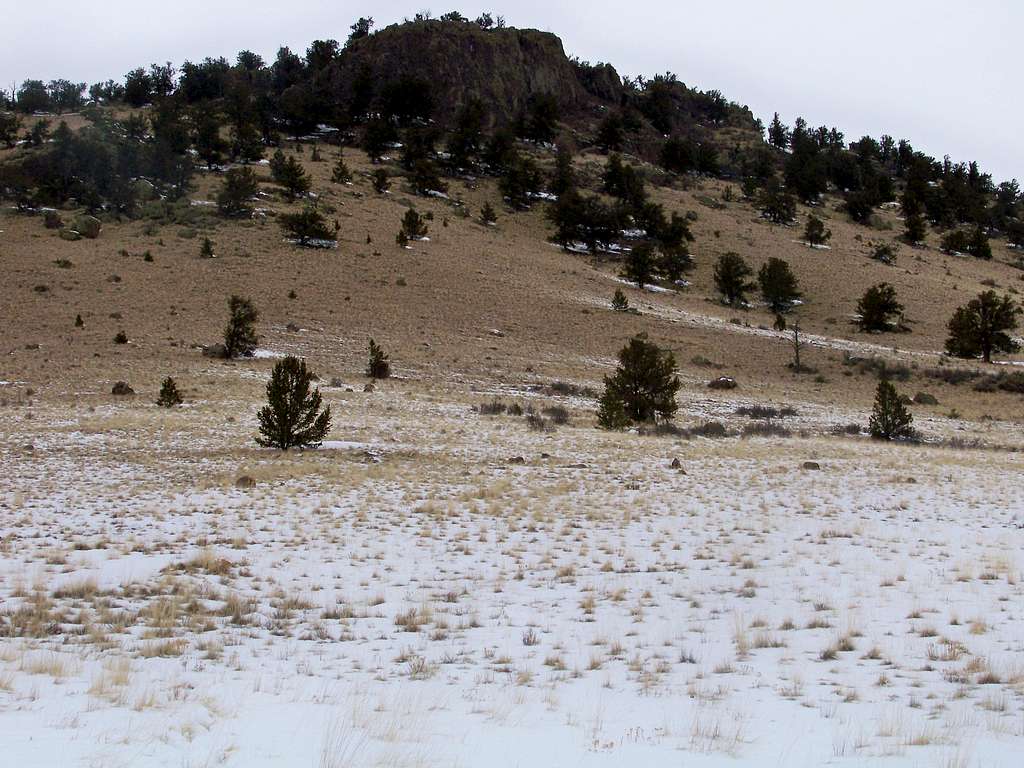 Threemile Mountain from meadow