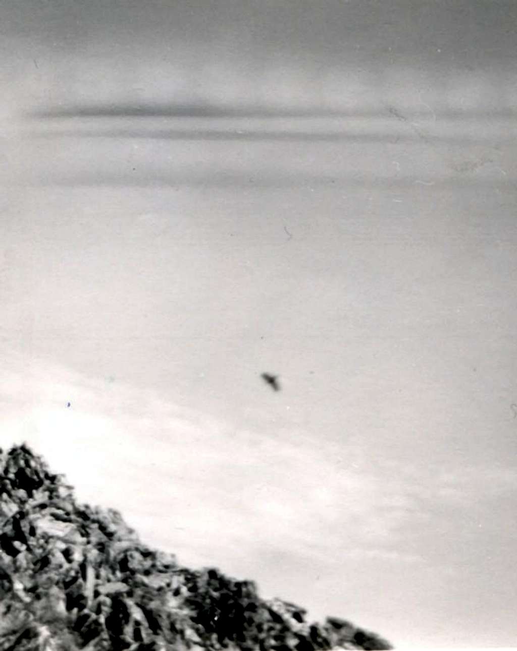 Emilius in SUMMIT and Surr. AGLE on the wing September 1964
