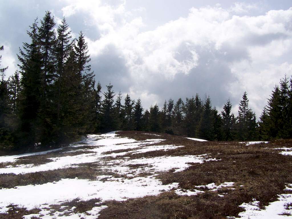 On the summit of Črni vrh