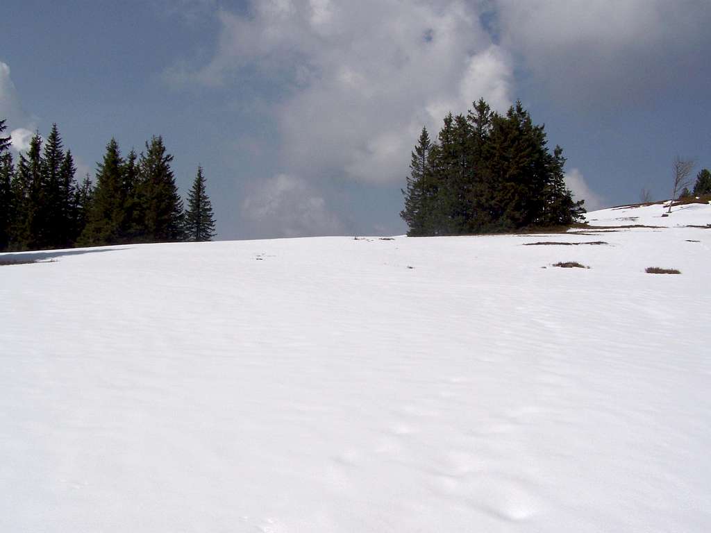 Near the summit of Črni vrh