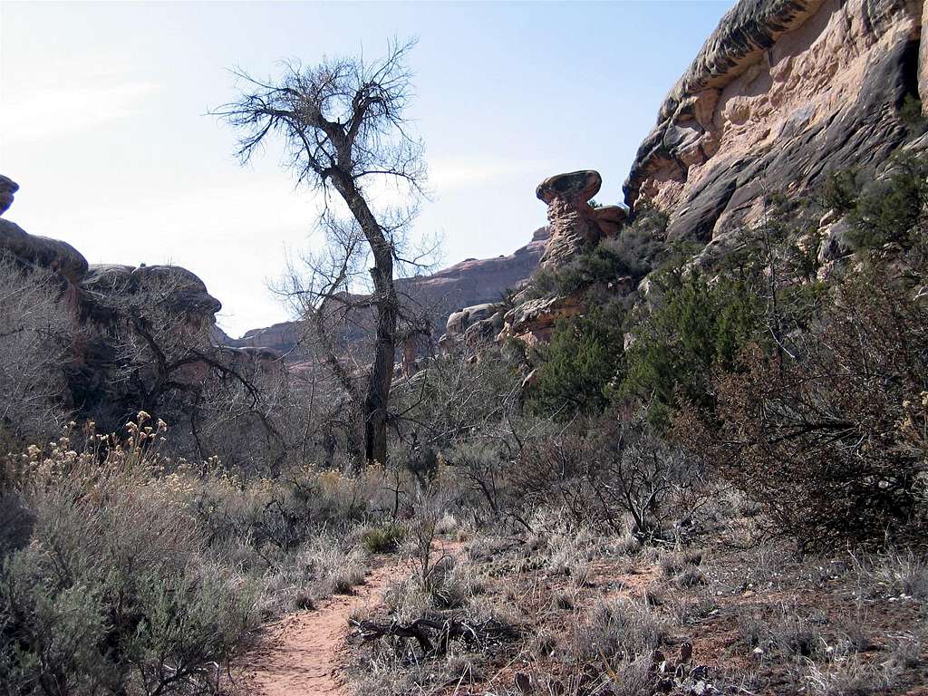 Lost Canyon Trail, Upper Portions 
