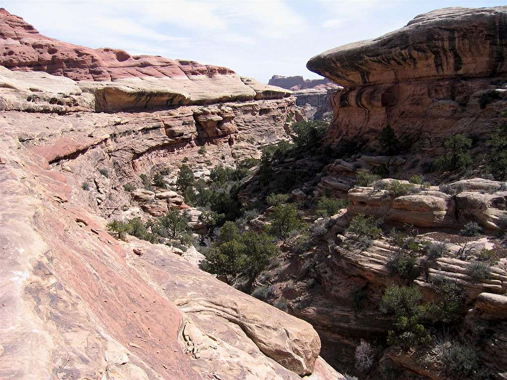 View of Lost Canyon