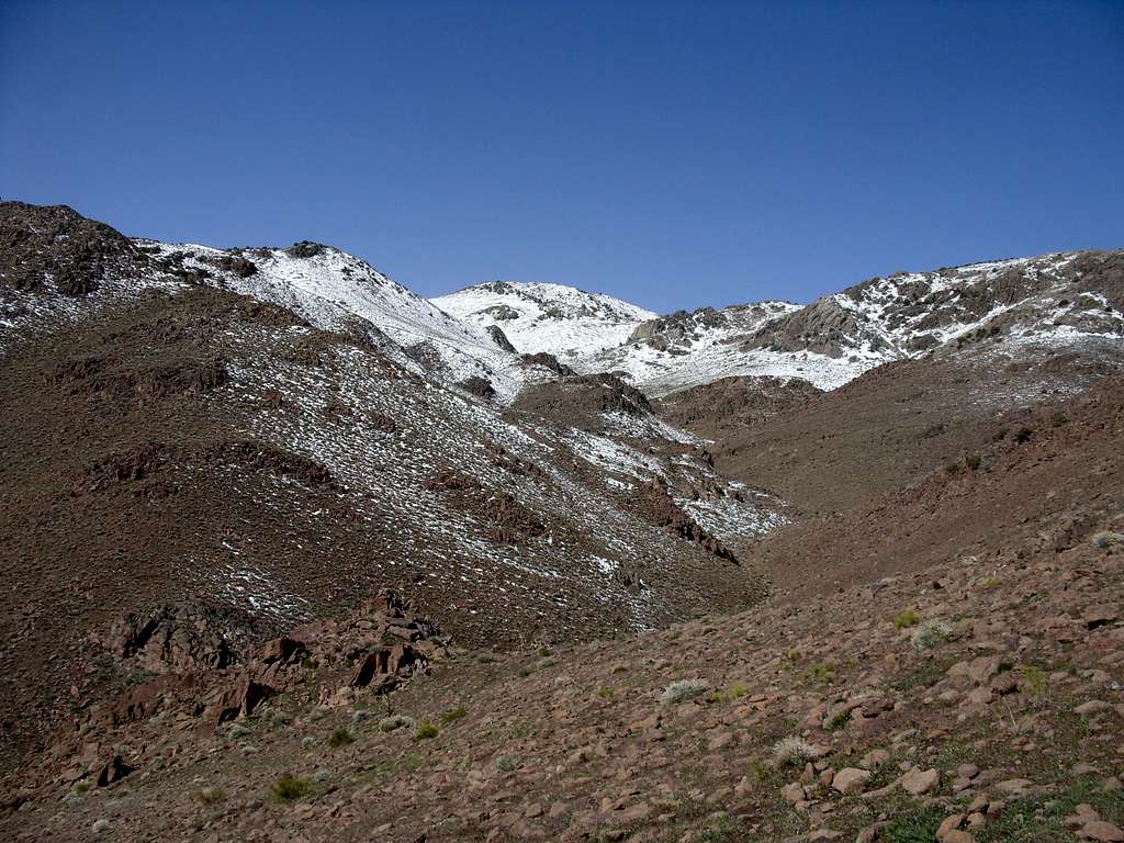View to Clark Mountain