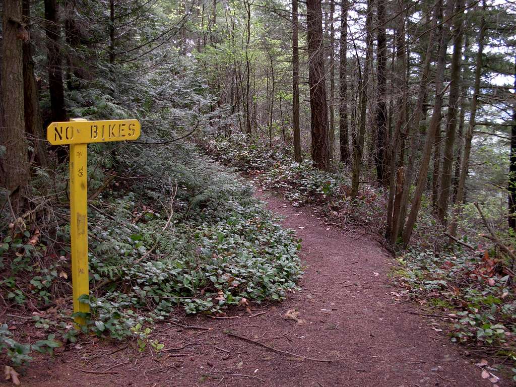 Little Mountain Trail