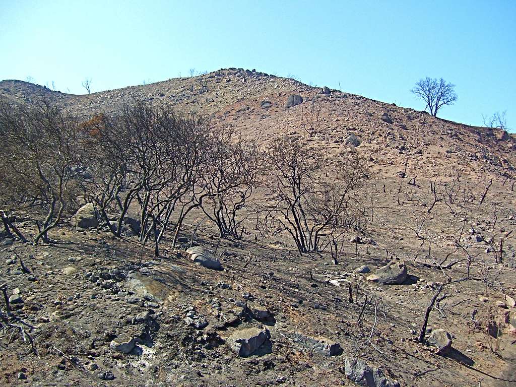 Charred Hillsides, 2009