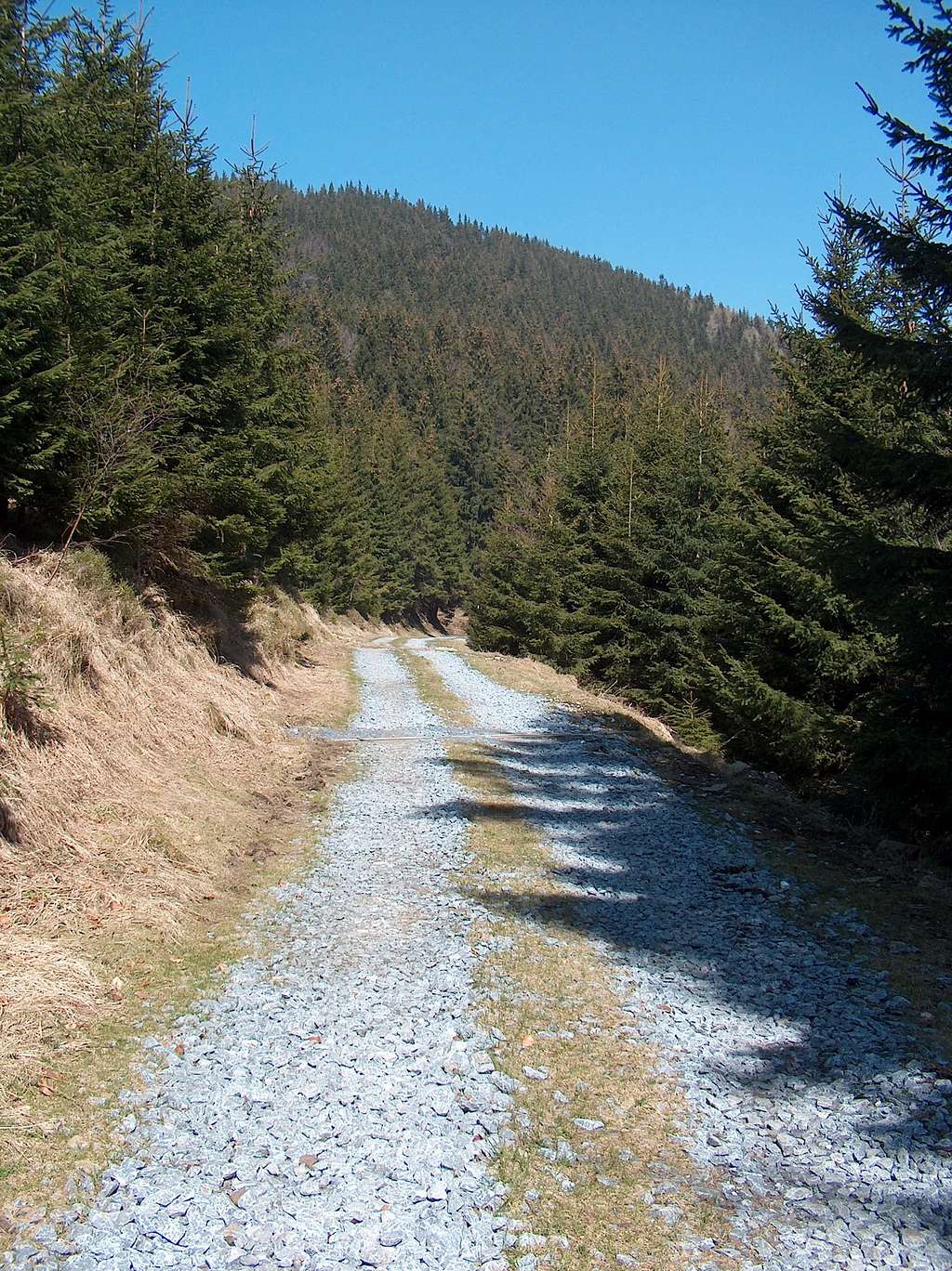 The long and winding (Czech) road...