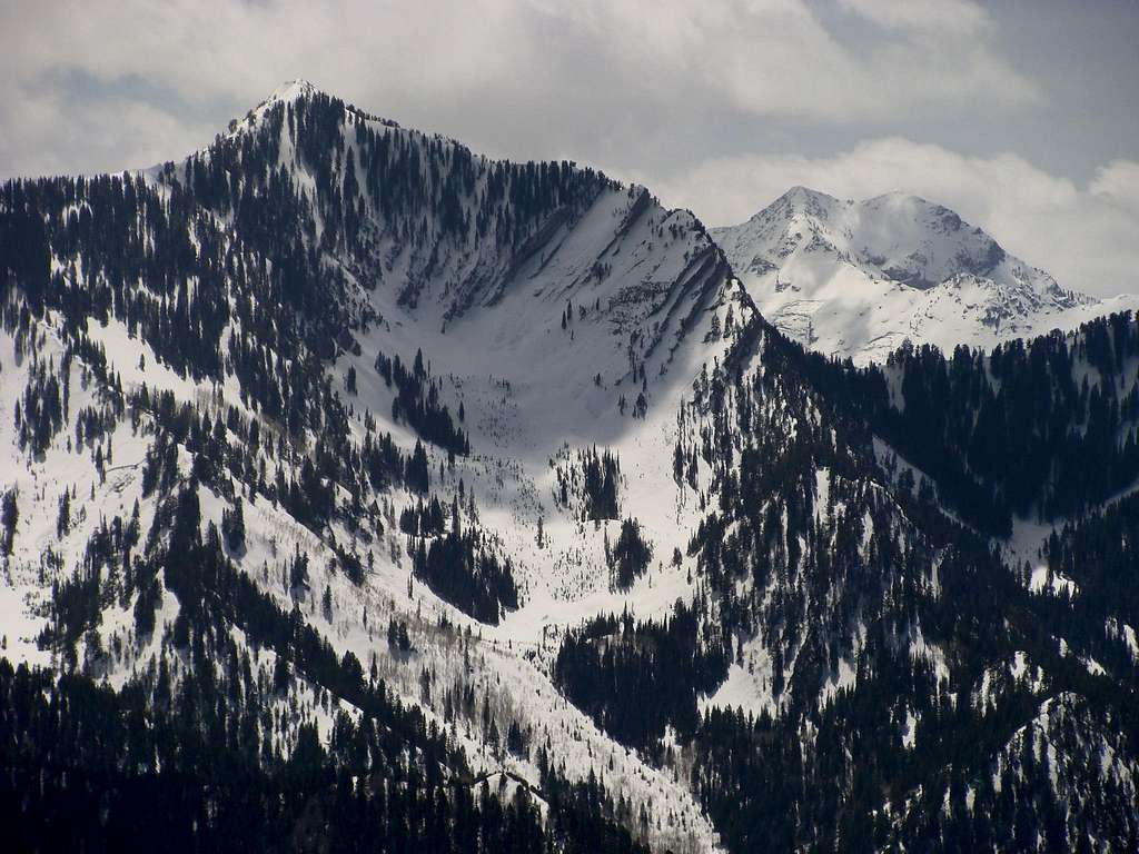 Mt. Raymond from Mt. Aire