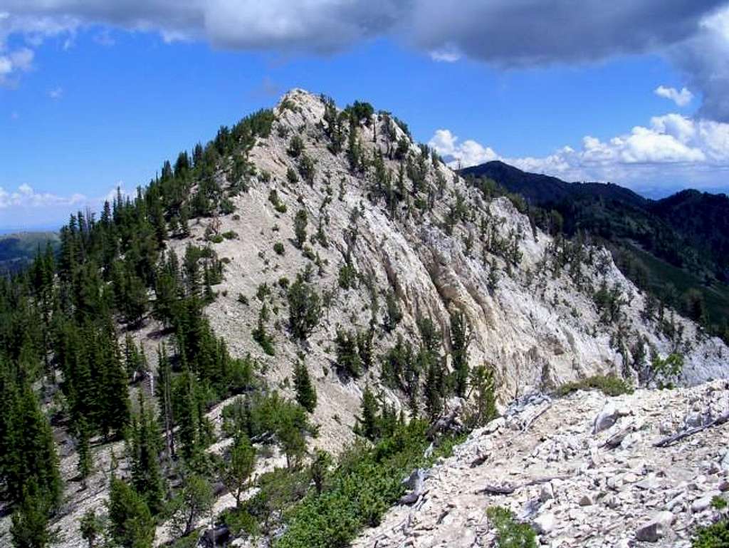 July 21, 2004 - Pioneer Peak...