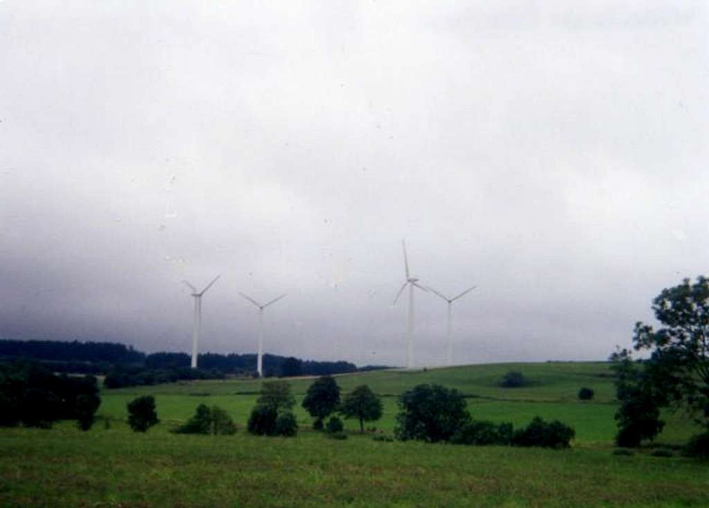 Some of the many windmills...