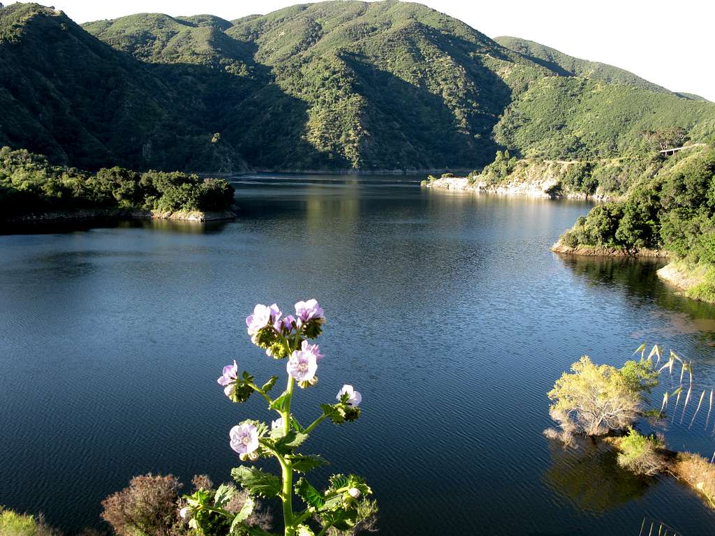 San Gabriel Reservoir