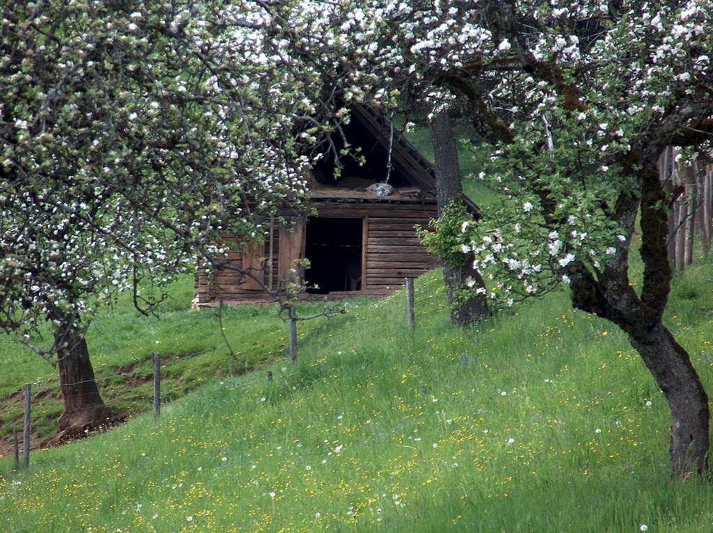 Old farm in the Graz region