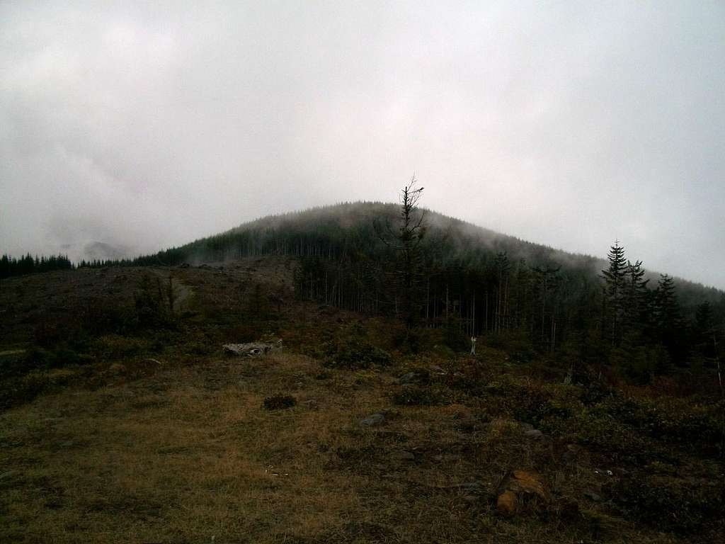 The true summit of Larch Mountain