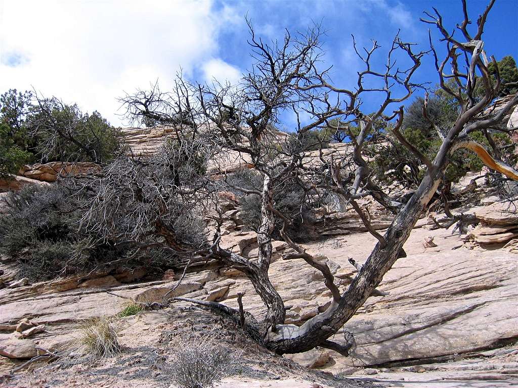 Hiking Up Slick Rock