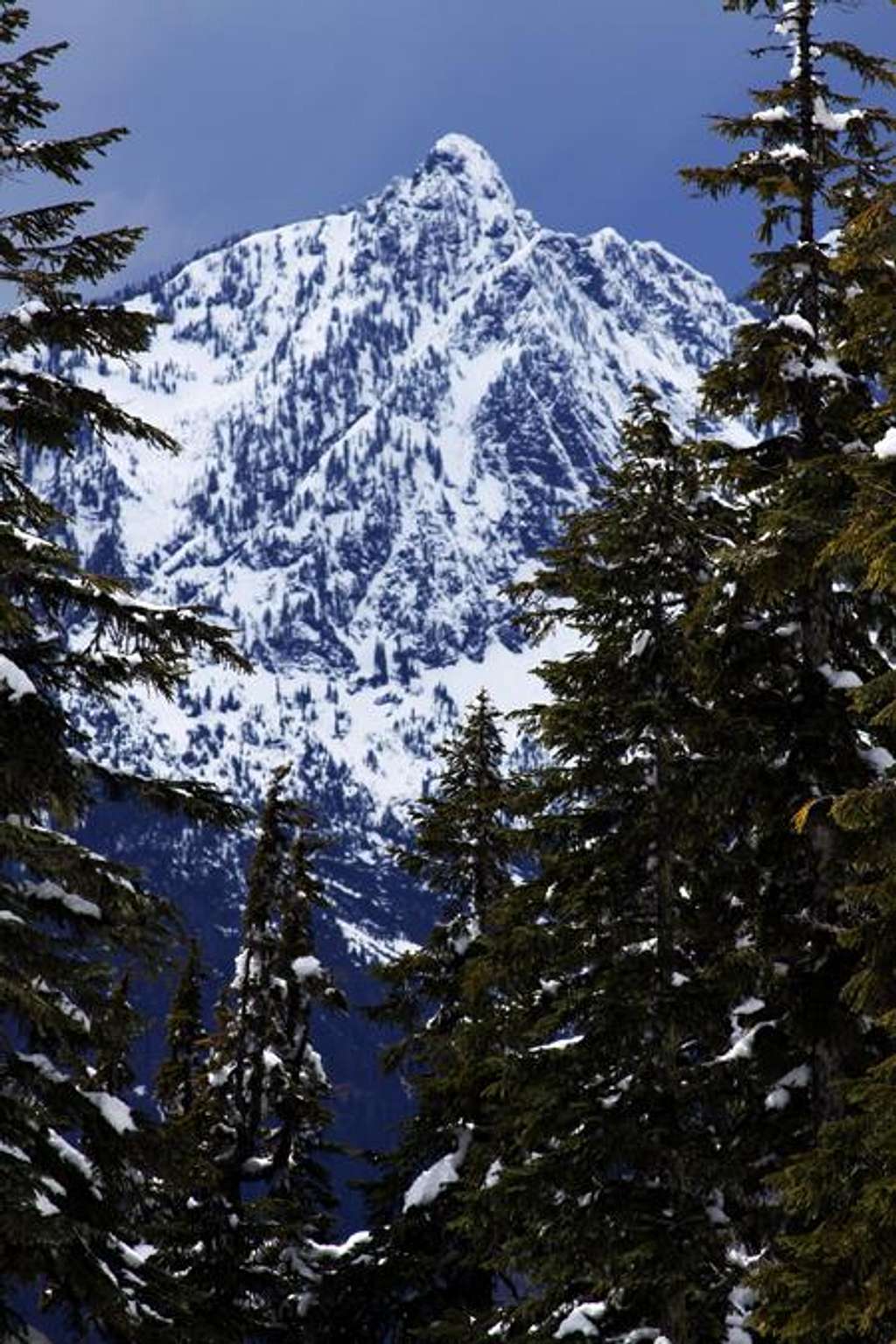 Hall Peak from Mount Forgotten Trail