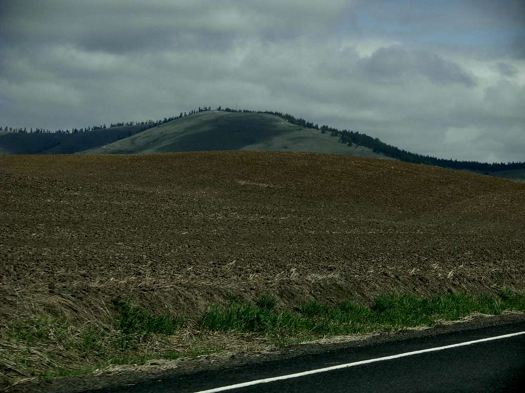 Tekoa Mountain