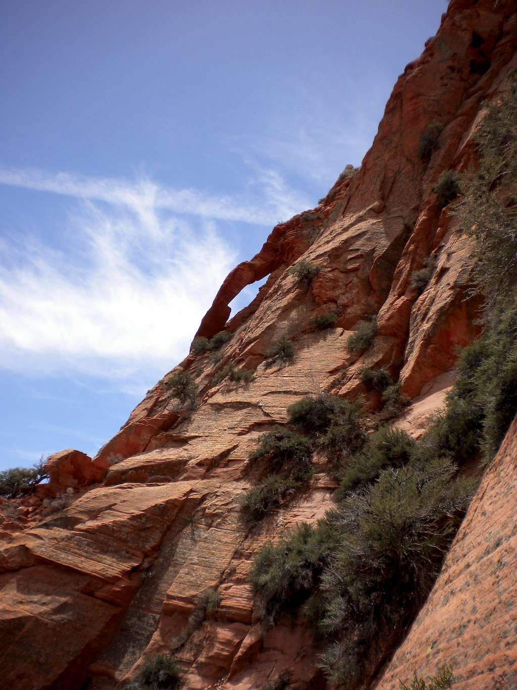 VegeMight Buttress, 5.8 R, 1,100 ft., Red Butte, Zion, UT