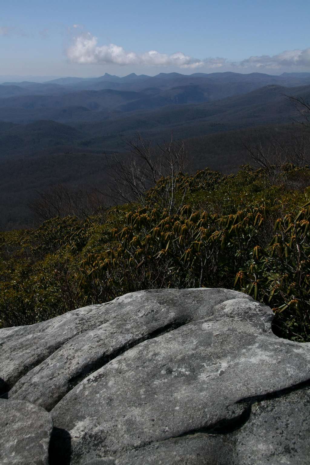 Rough Ridge View