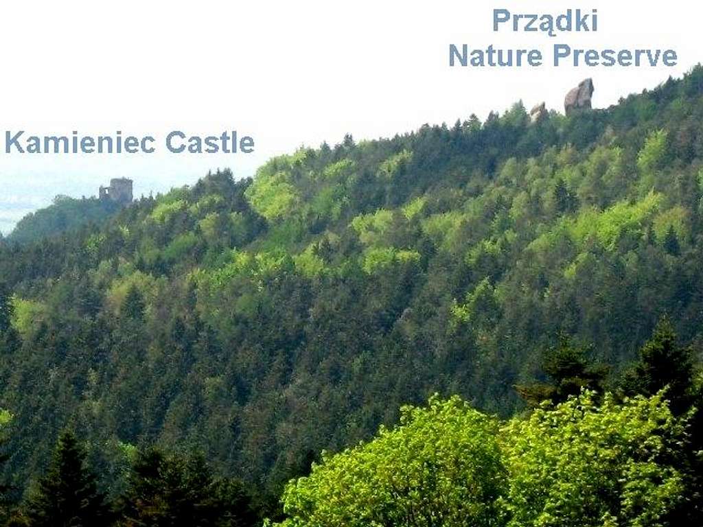 View towards Spinners Nature Preserve and Kamieniec Castle 